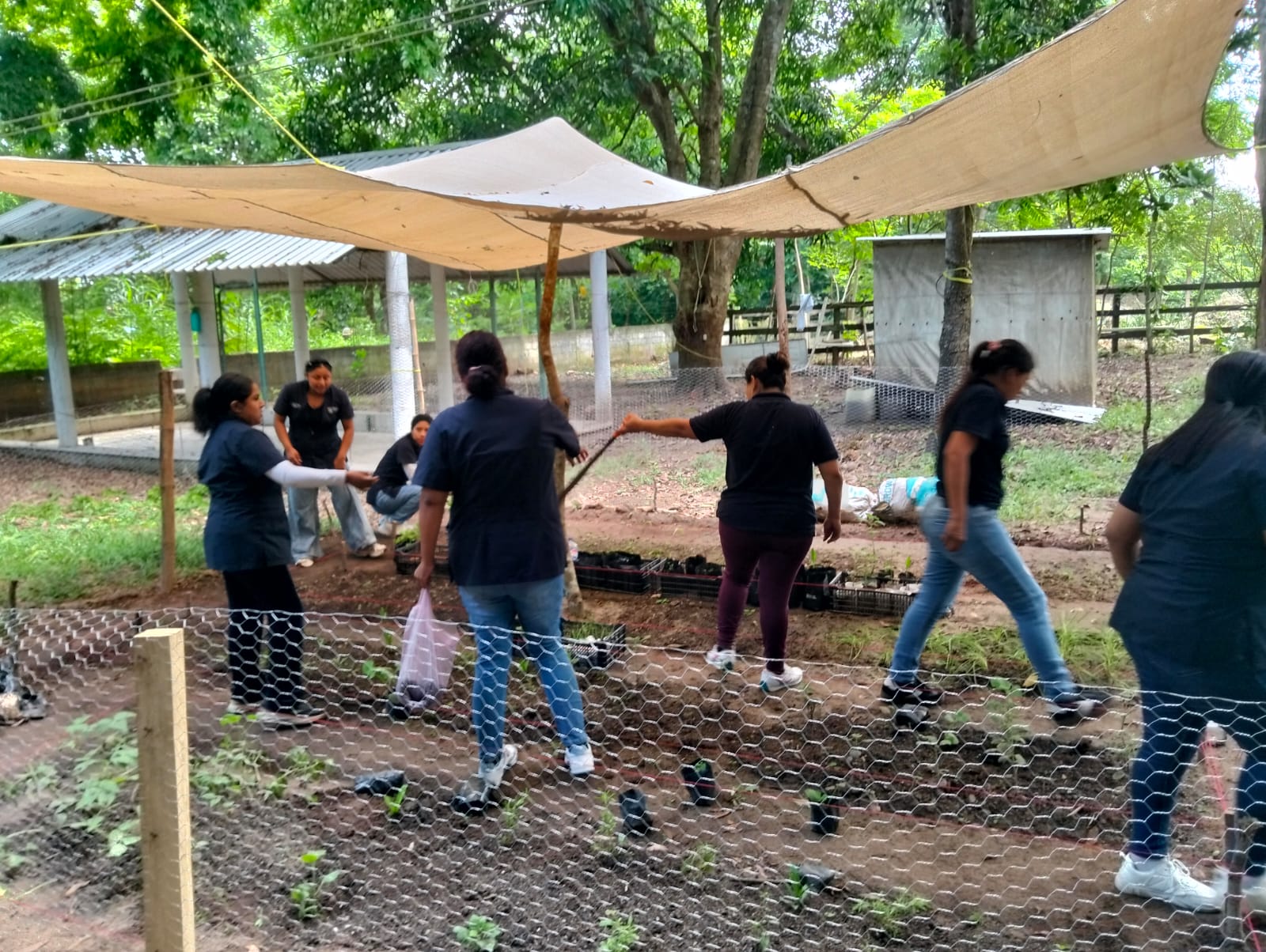 Voluntariado - foto 4 (ejemplo)